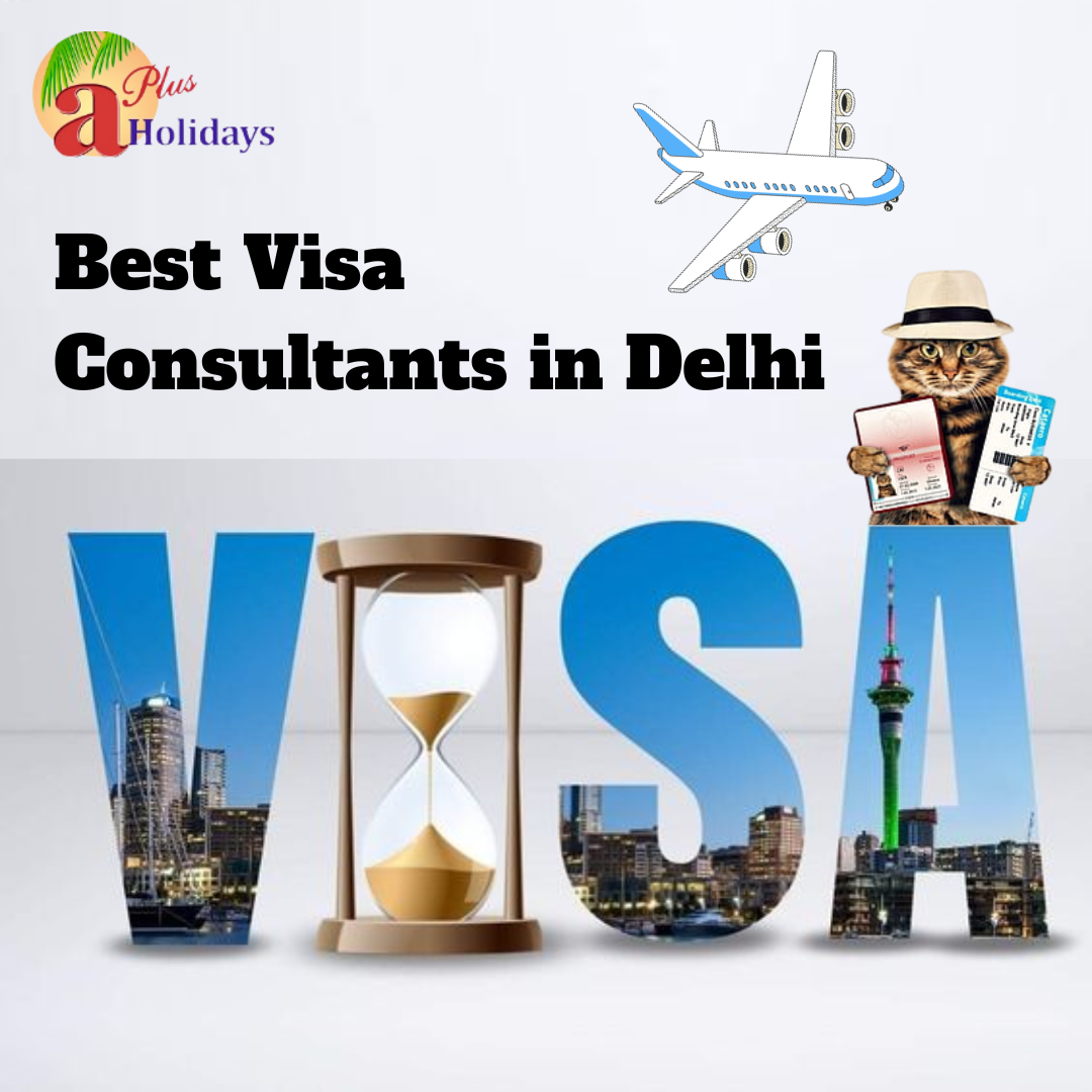 Best Visa Consultants in Delhi